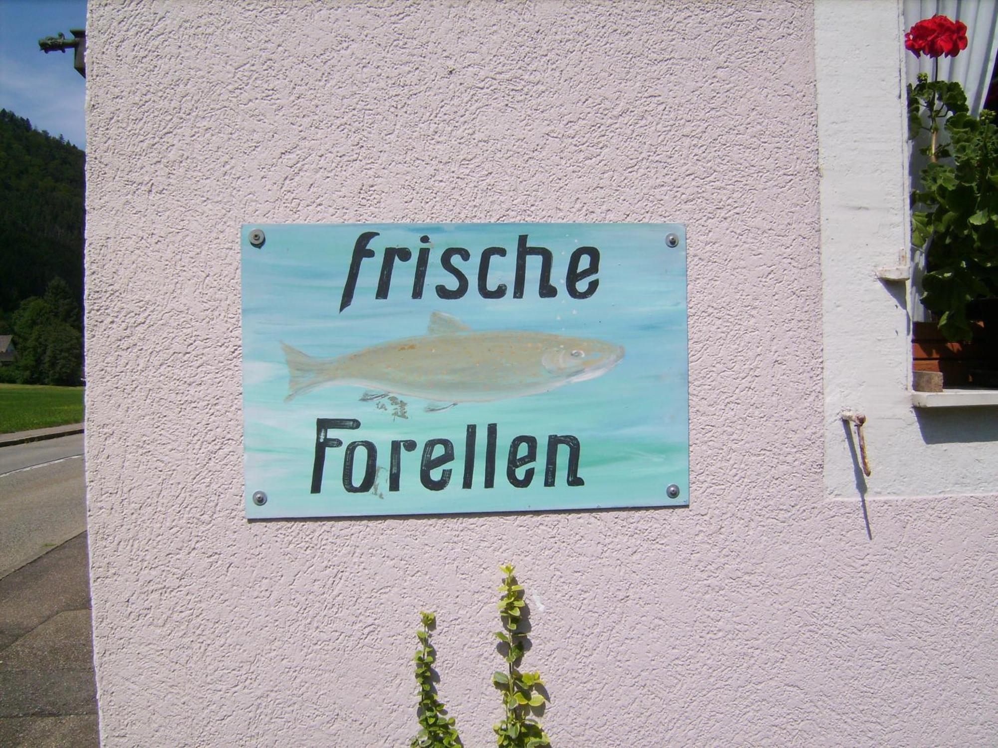 Gasthaus Zur Erle Simonswald Eksteriør billede